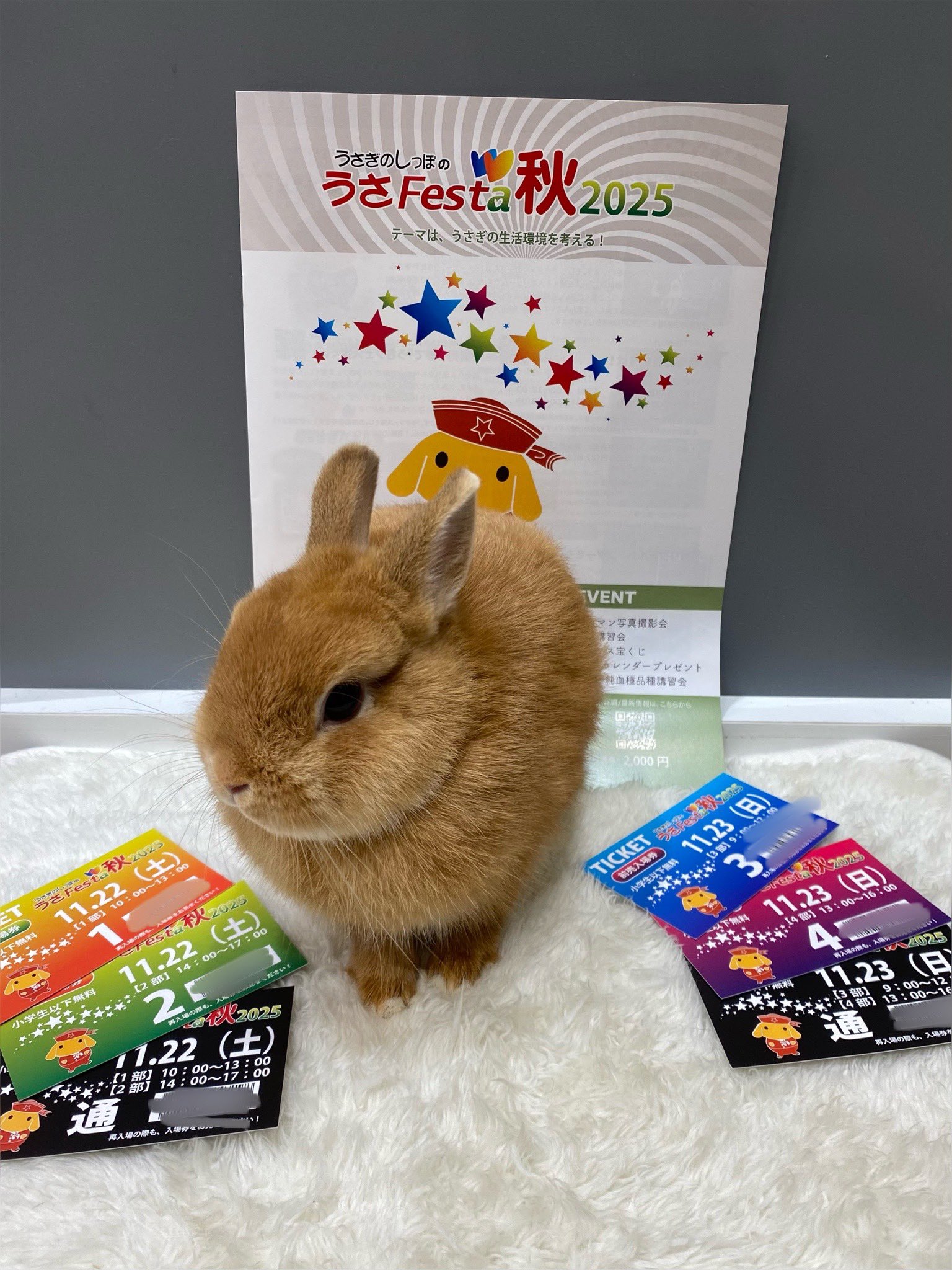 ライフウェーブパッチ　黒うさぎ出品 LUXXE がまかつ/ラグゼ トラッカーメッシュキャップ マルチカム