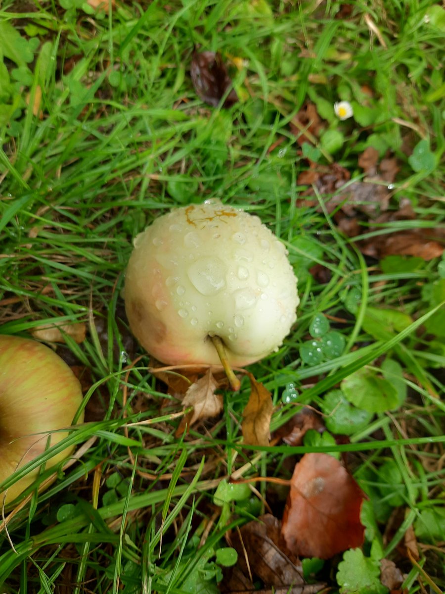 gloop (@smileyglop) on Twitter photo 