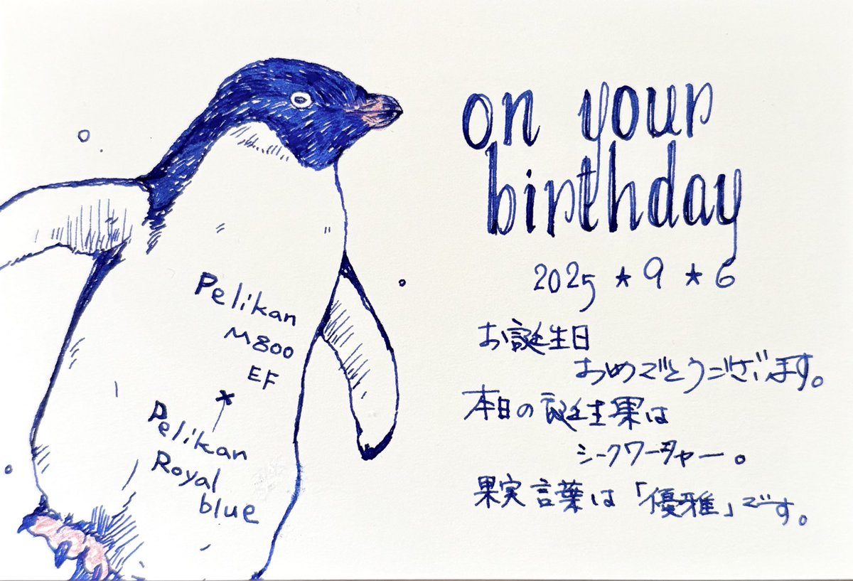 ペンギン剥製 2025年最新】Yahoo!オークション -ペンギン 剥製の中古品・新品