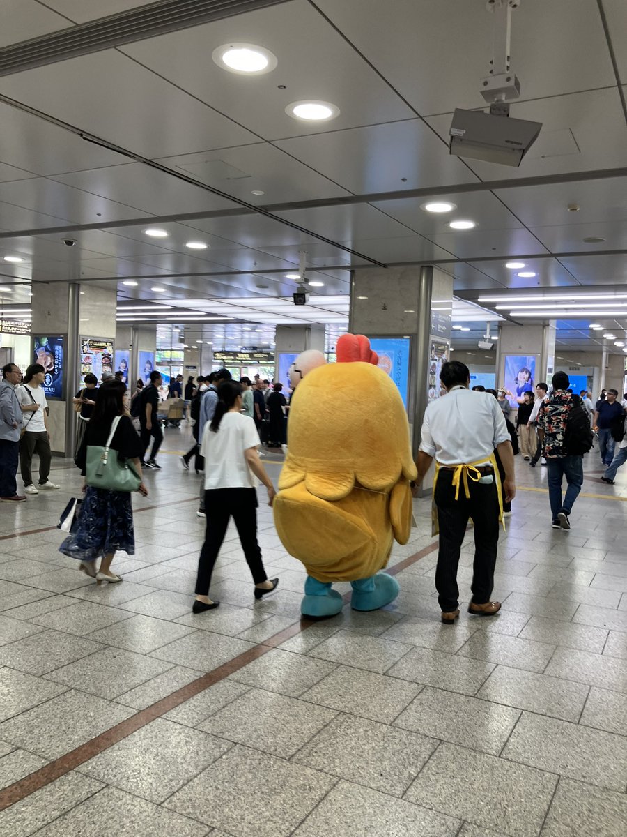 色々気になって思わず3度見くらいした