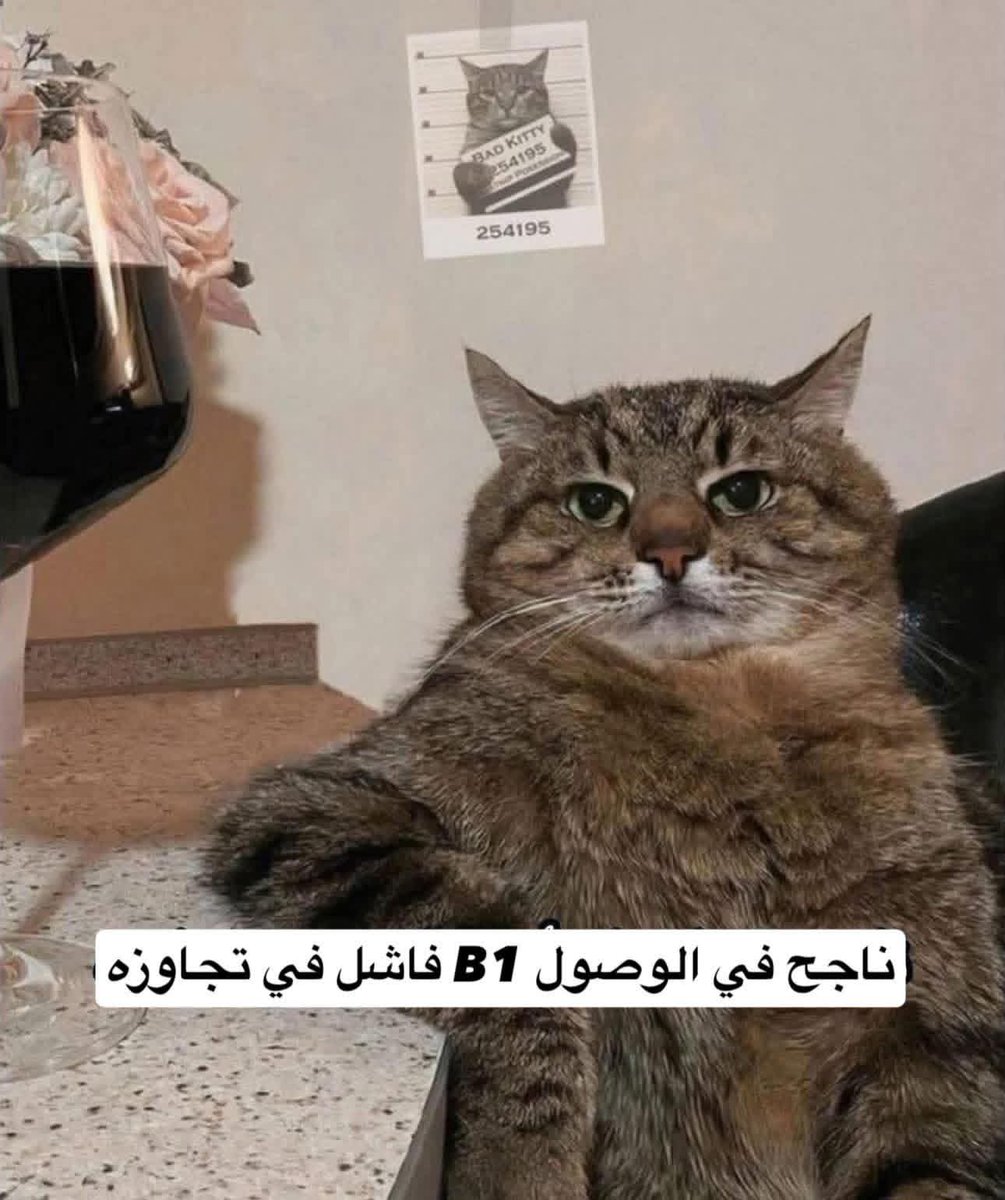 Yara (@1yaryoora) on Twitter photo 