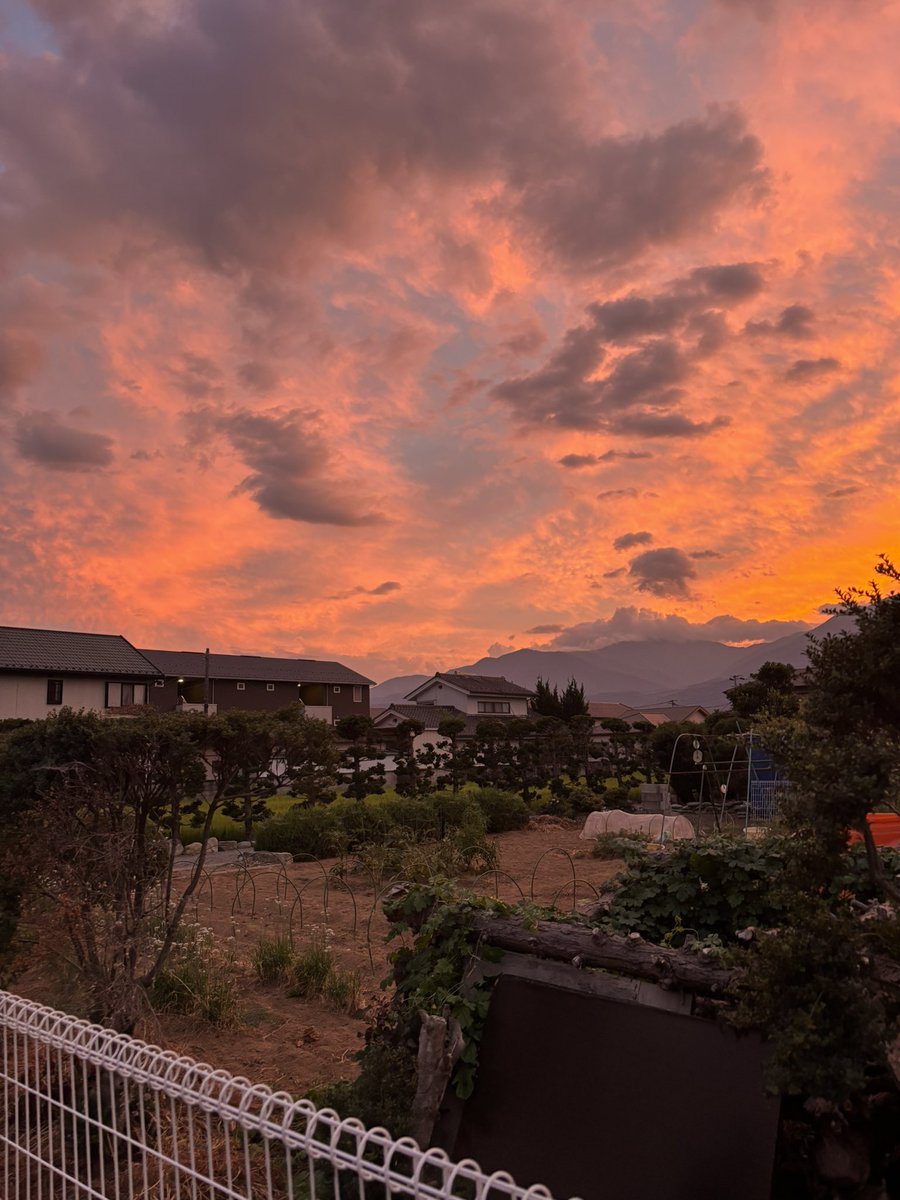 mopipipipipi's tweet image. ちょっと前の夕焼け🌆