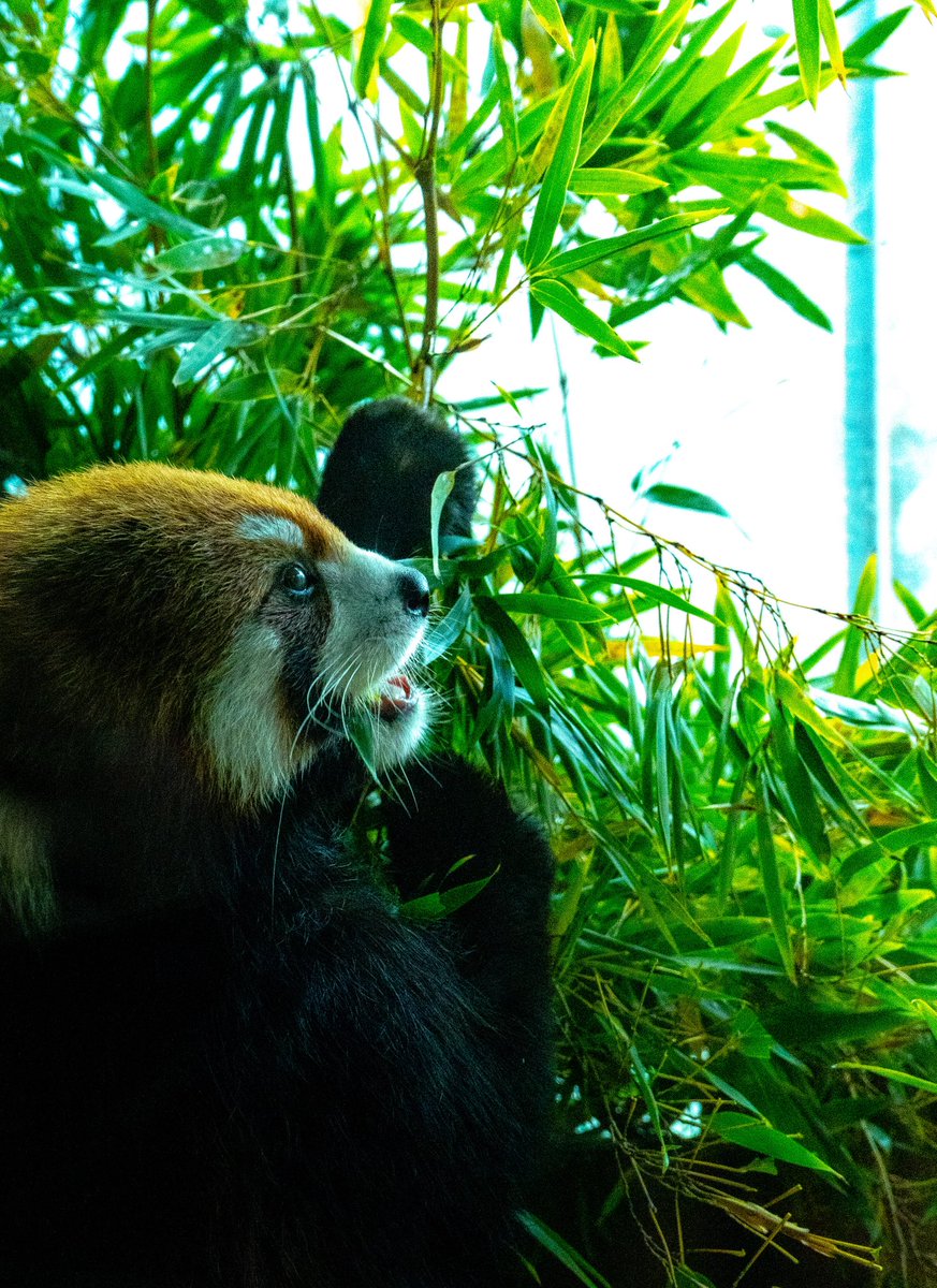 y__ryryry -photographer- (@uuuyyyyd) on Twitter photo 