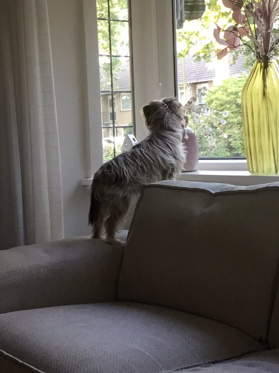 Gluren naar de buren