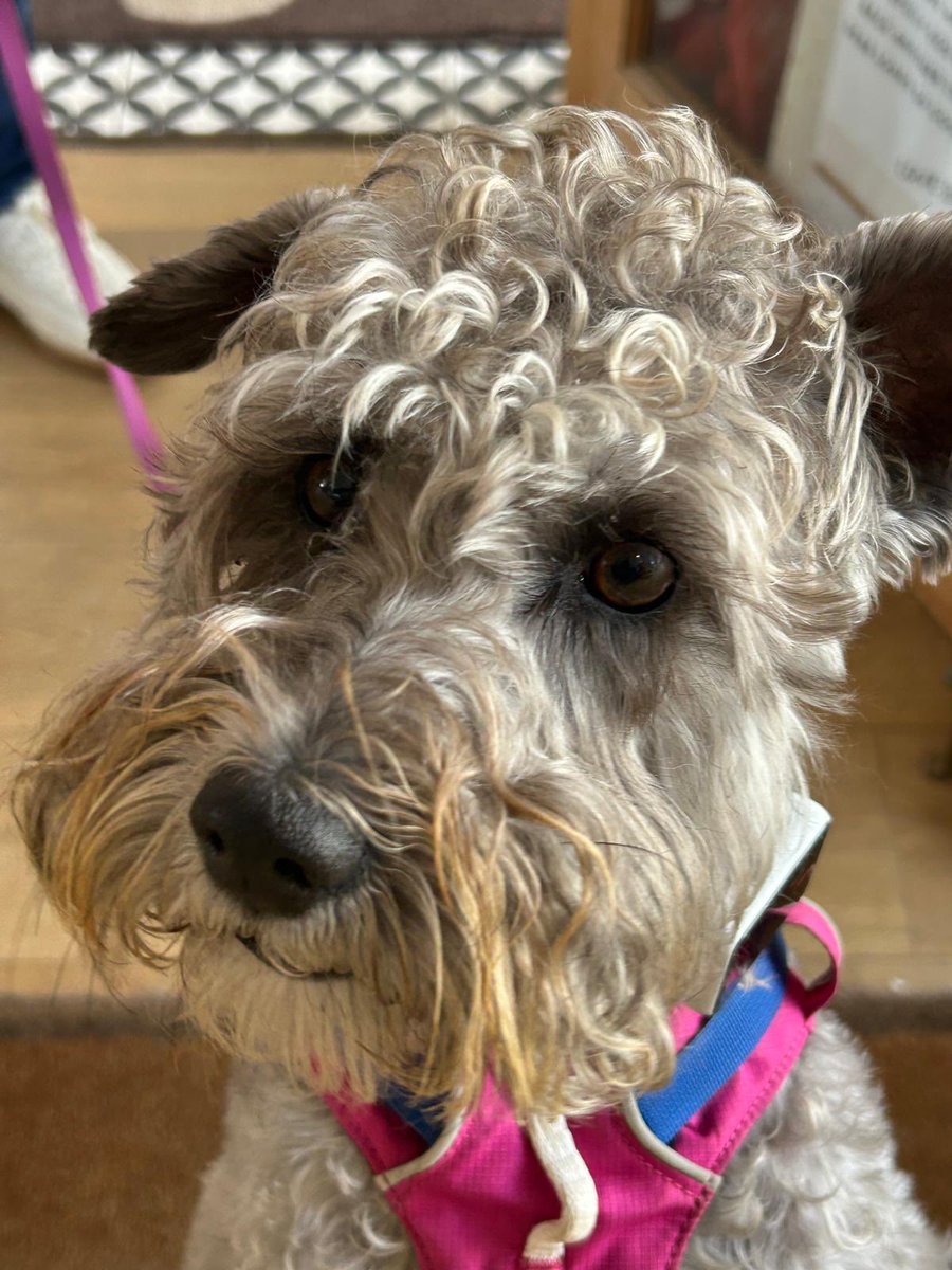 BeMoreBob tweet media