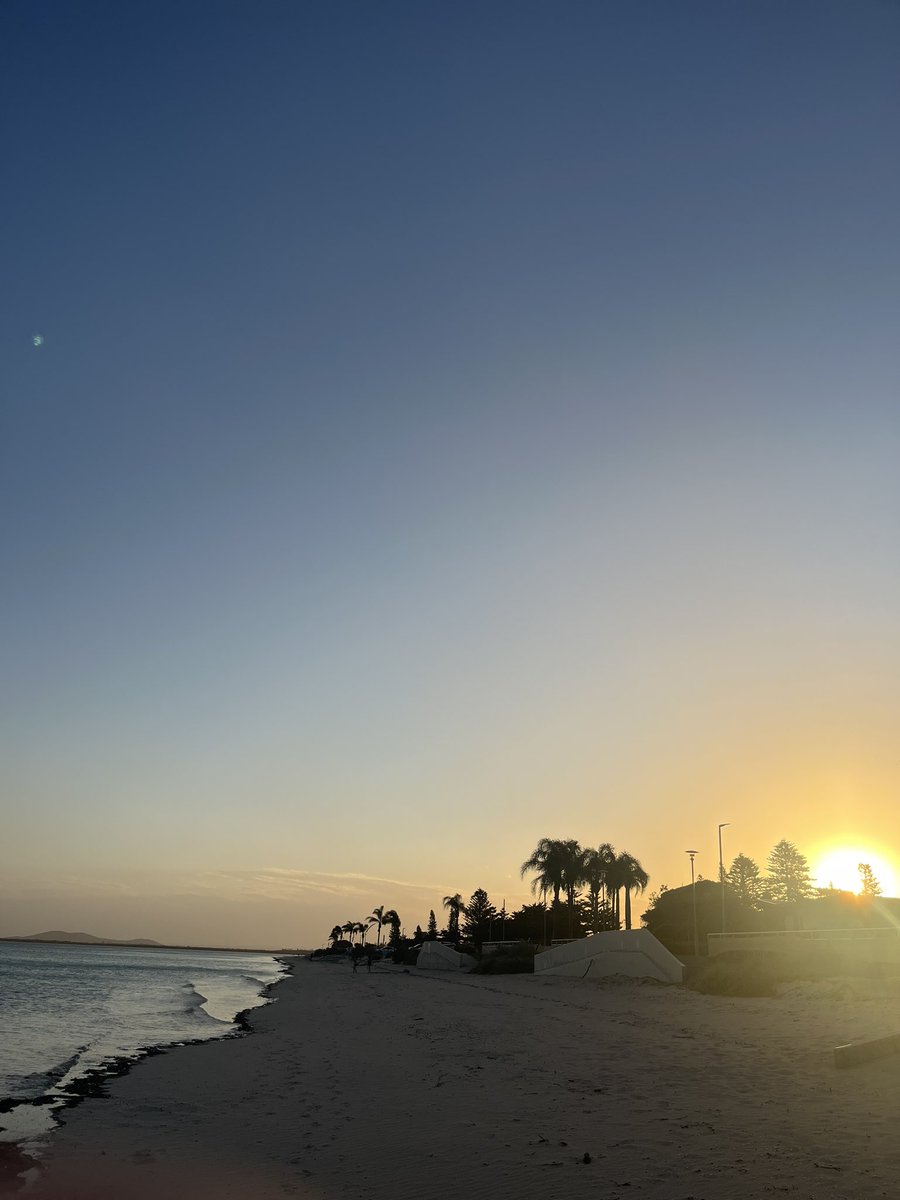 Beardy Mcpolis (@beardymcpolis) on Twitter photo 