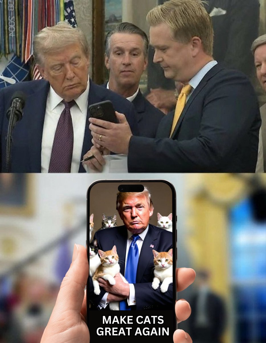 KittehCoinCTO's tweet photo. #MakeCatsGreatAgain https://t.co/oGaI7Qih9x