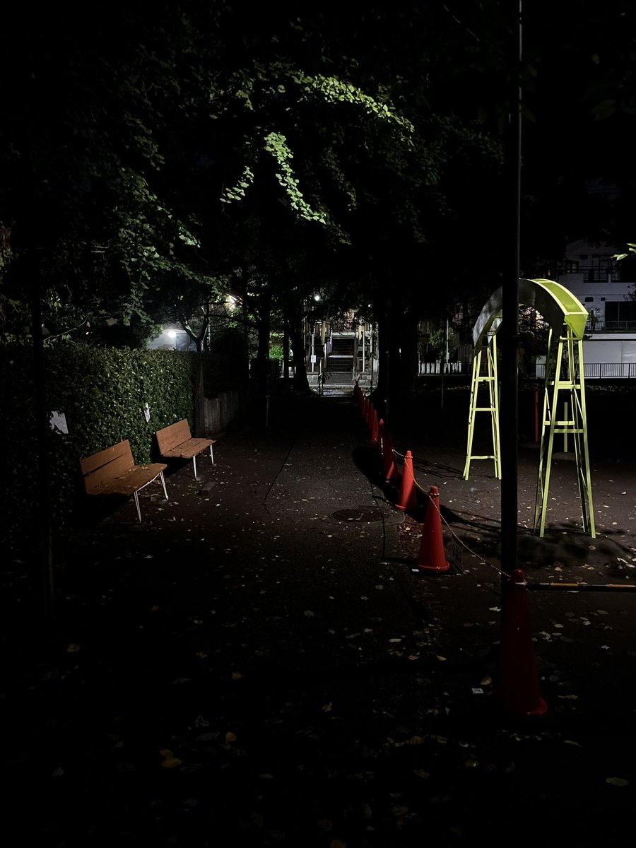 IZOHRA (@izohraxm) on Twitter photo 