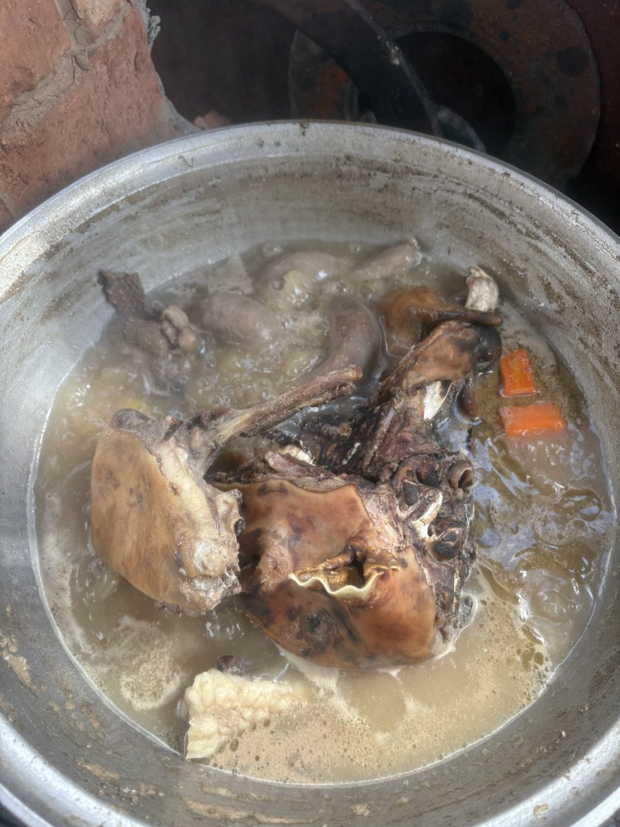 Толгой янзын даа… Муу хүн идсэнээ за яахав ээ яахав 😋