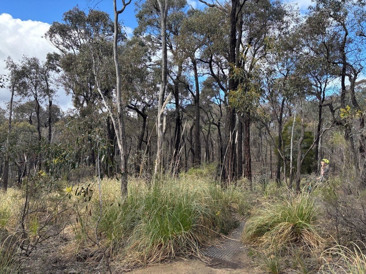 Jacinta Allan tweet media