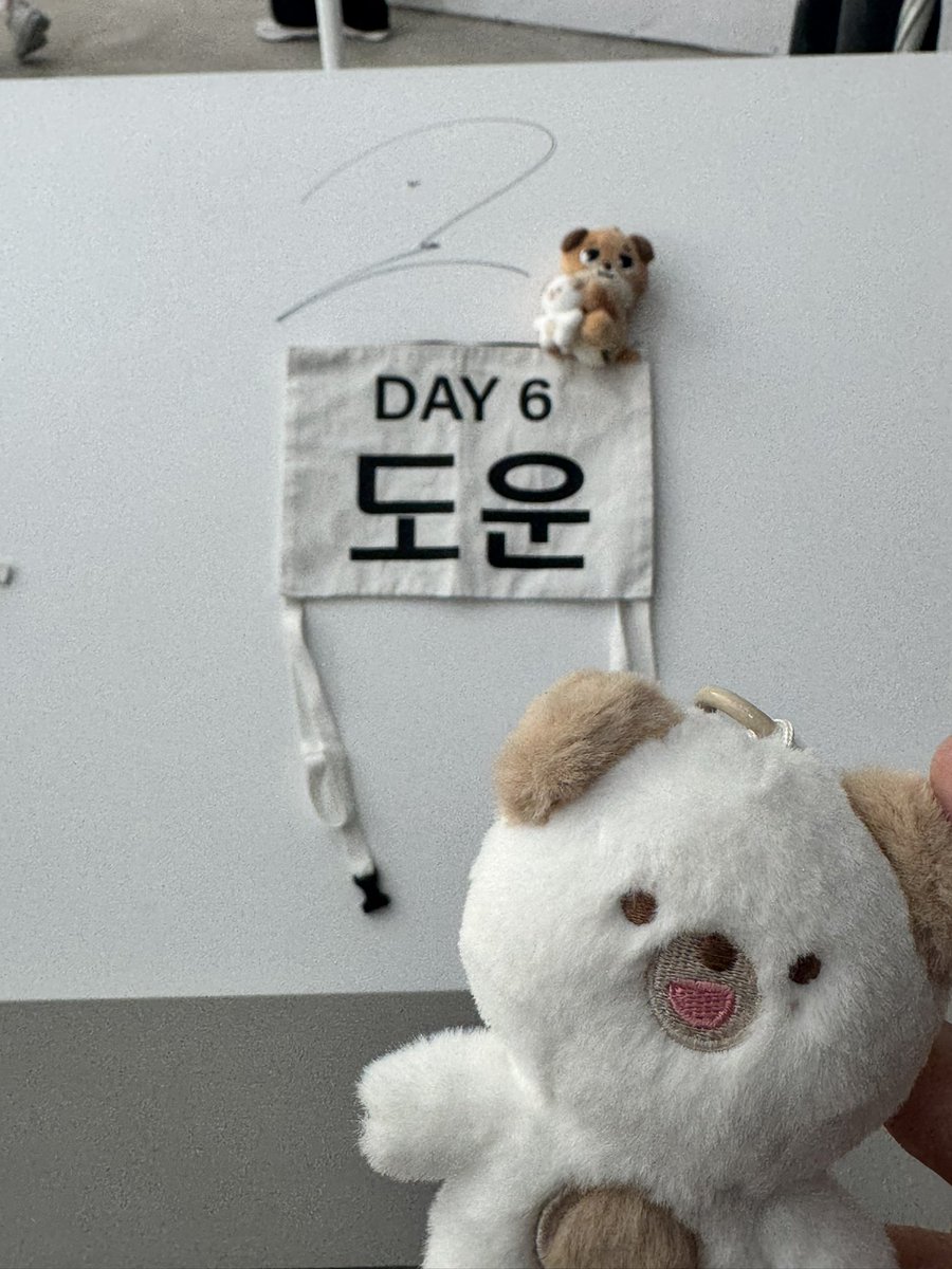 너무 좋앗더🫶