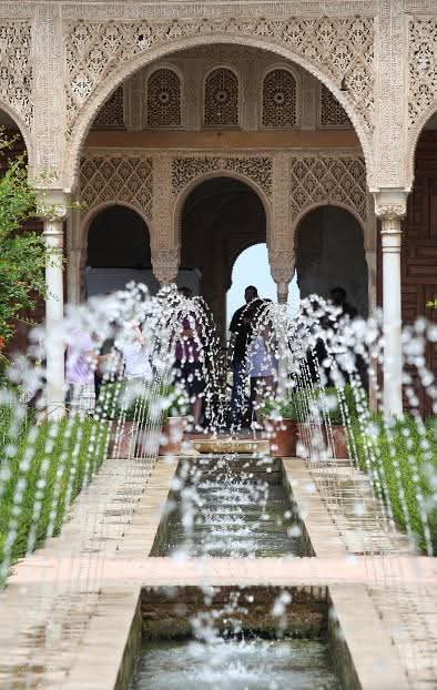 Sali Verde 🔻🟣 tweet media