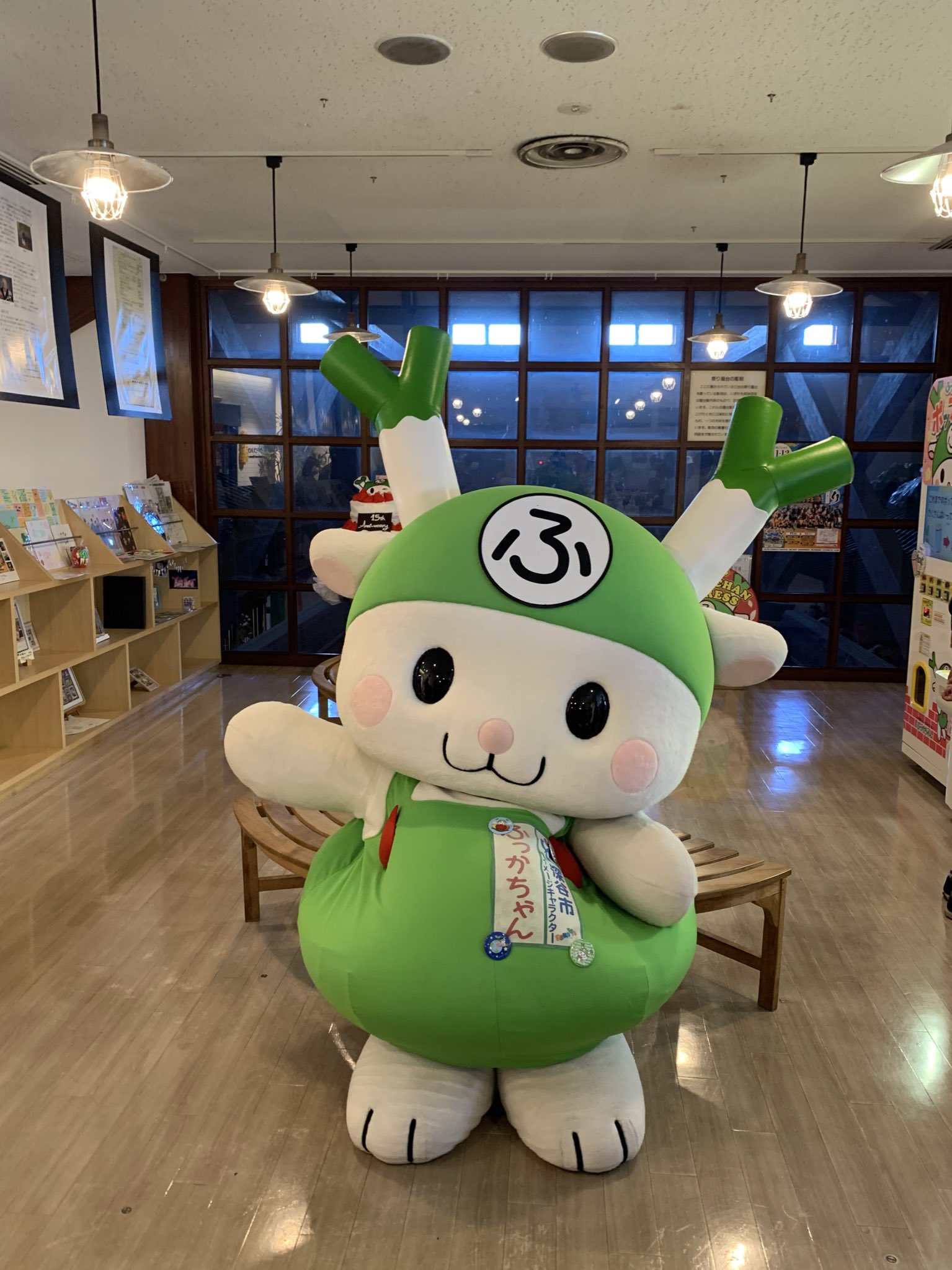 ふっかちゃんページです！2点セットアップ ふっかちゃんページです！2点セットアップ ふっかちゃんページ