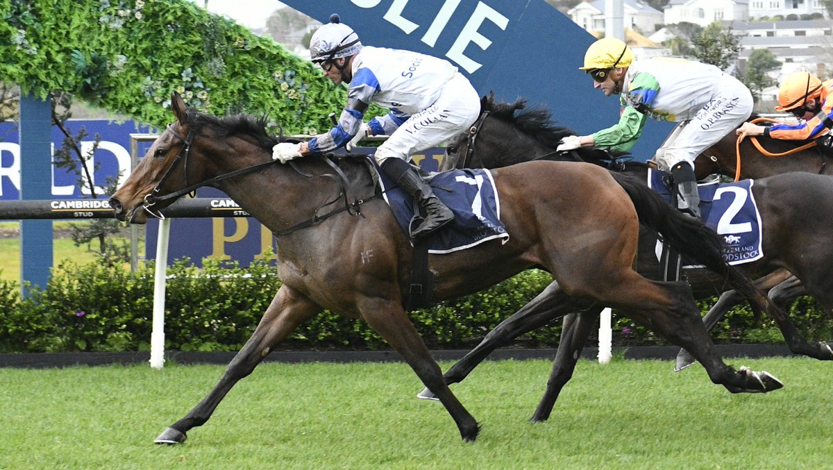 NEWS: “She was explosive......"

Lollapalooza went into Saturday’s Gr.3 Gold Trail Stakes (1200m) at Ellerslie as a maiden, but she came out of it as one of the leaders of her generation.

racingnews.co.nz/lollapalooza-s…