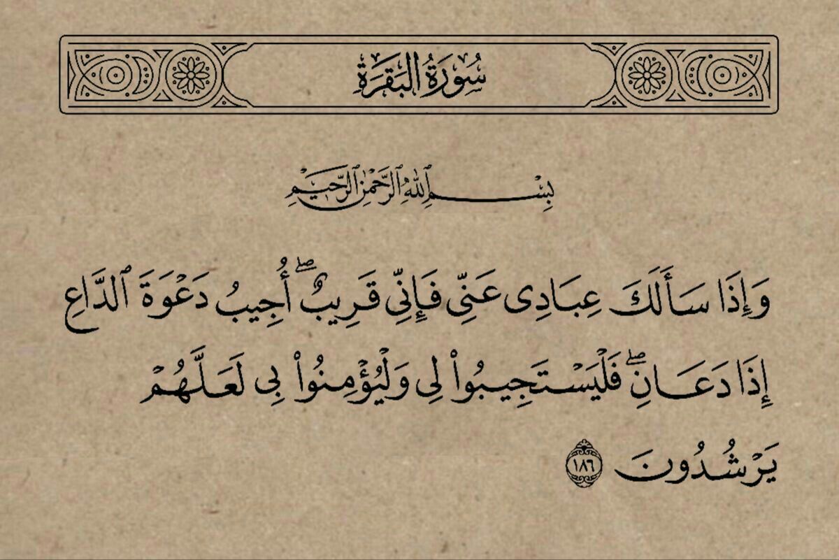 رايق (@fvdxw) on Twitter photo 