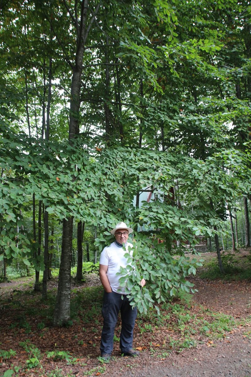 Günaydın hayırlı sabahlar...
Akkuş Belediyesi Kertil mesire alanı...