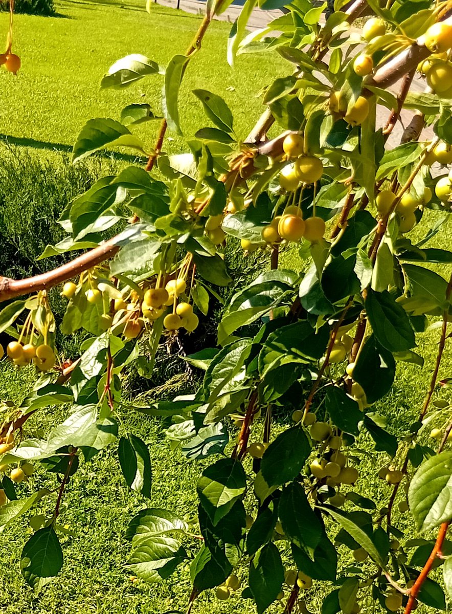 Катерина Галич tweet media