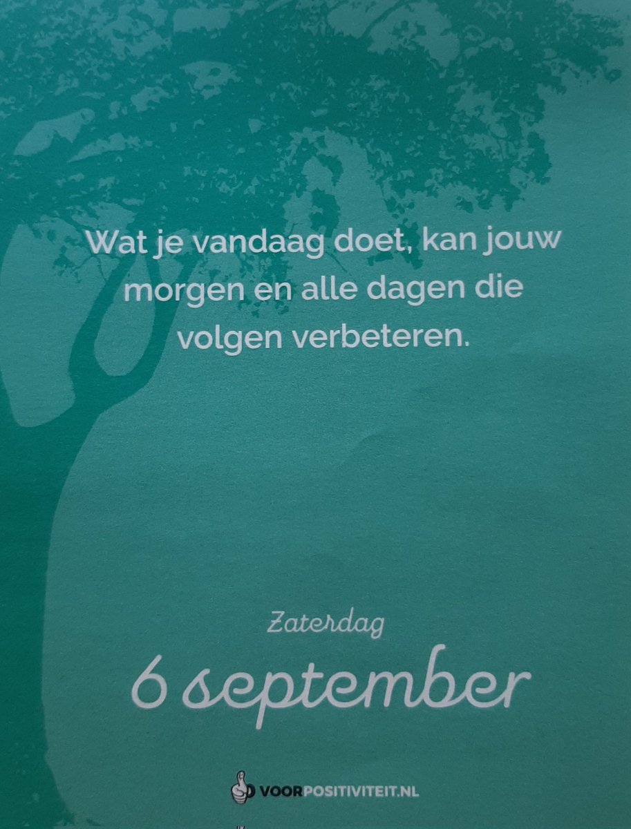 Lenny Roelofs (@roelofslenny) on Twitter photo 