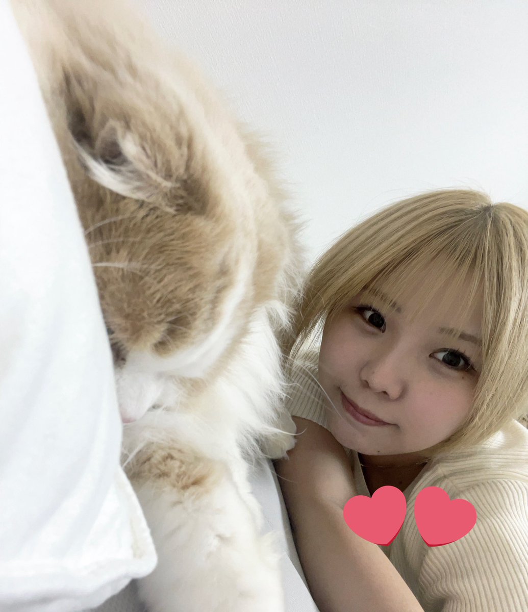 最近ポストに反応くれる数が多くなってきてうれしい🎶

今月16000人目指してるので
みんなフォローお願いします(◜𖥦◝ )ᕗ

#いいねした人全員フォローする 

↑変な垢じゃない限りガチフォロバします🌝