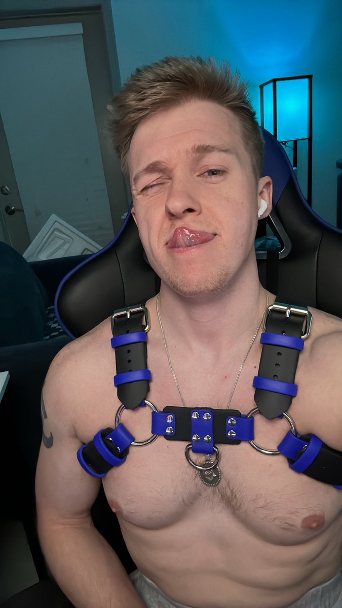 Gruff🐺 tweet media