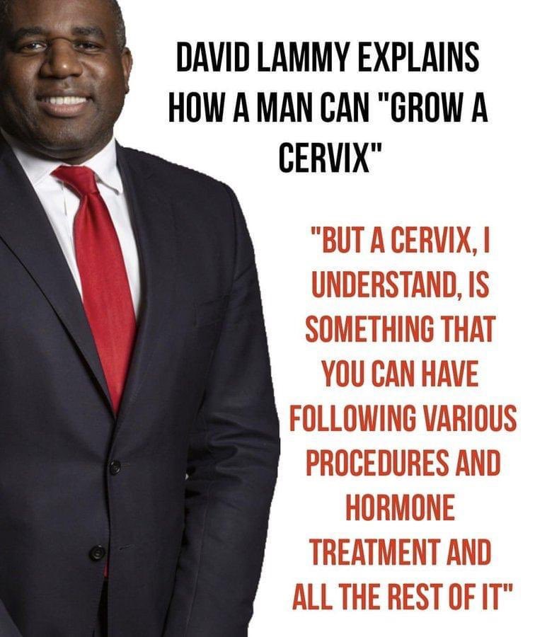 The UK’s new deputy prime minister btw 🤡