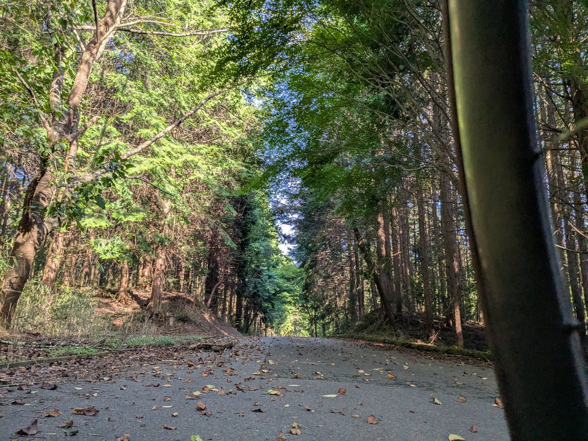 お
なかなかいい道

こんなの近くにあったんだな…