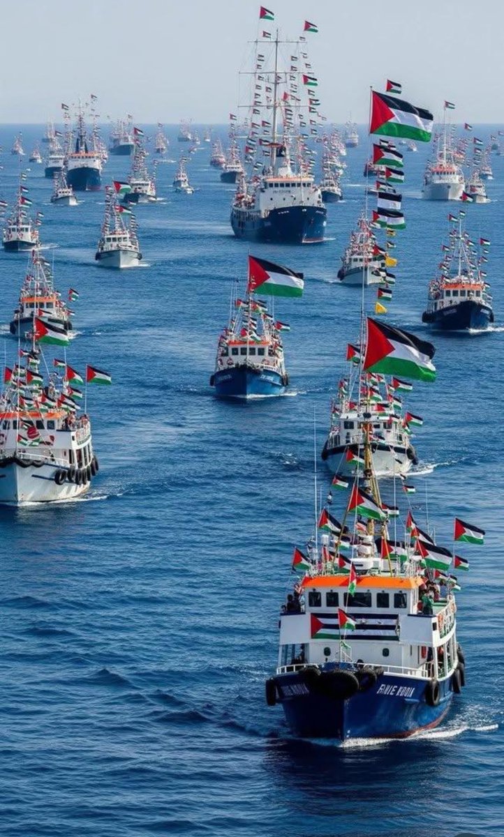 ProfMGokhan's tweet photo. Şu cesaret abidesinin bir yelkenlisi, bir takası, bir direği de ben olaydım🥲🇵🇸

#SumudFilosu #SumudForGaza #sumudflottilla #Sumud https://t.co/iknh0ZRzye