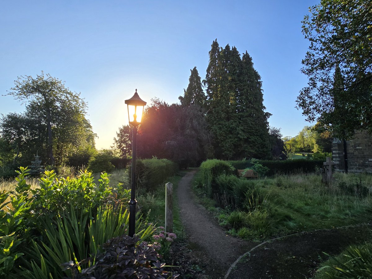 David Guest tweet media