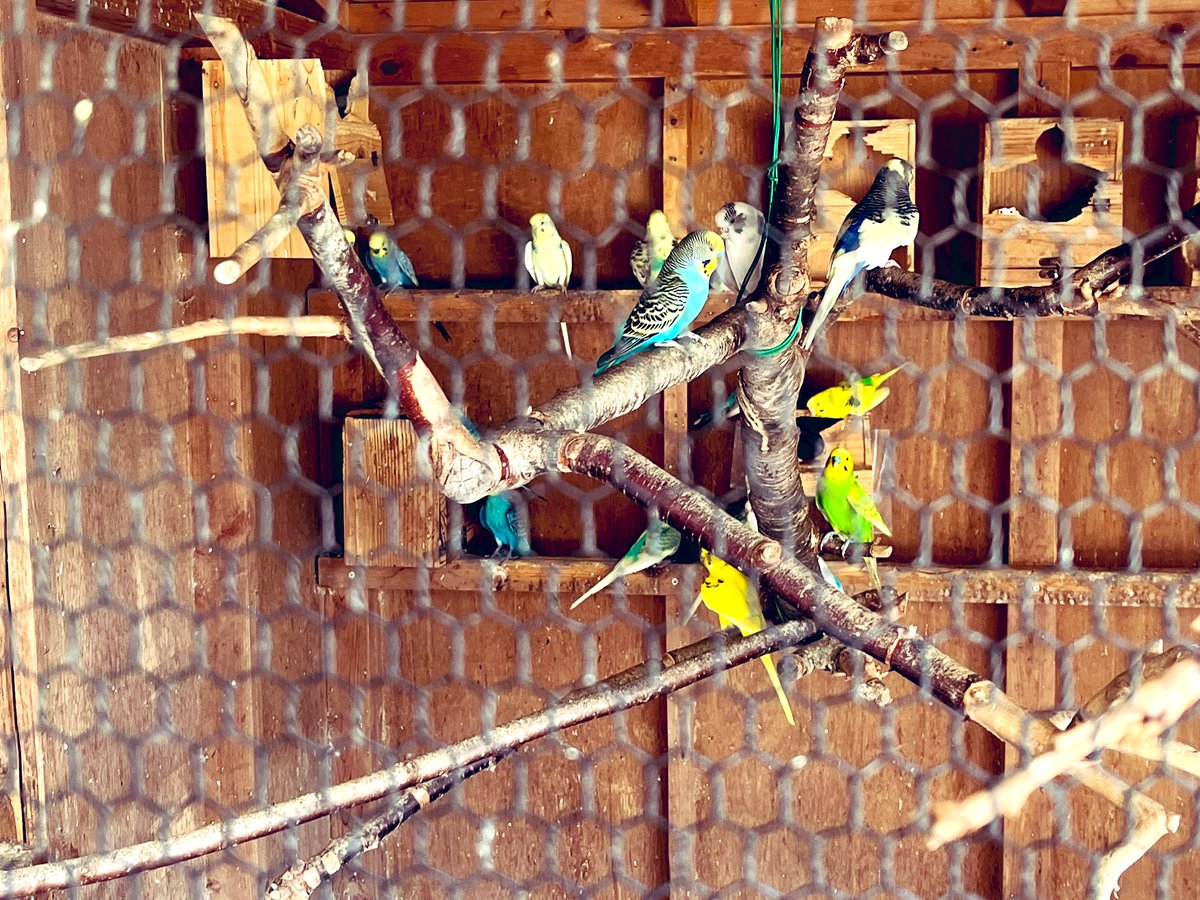 いつもお世話になっている尾張猿田彦神社様に参拝に参りました！神聖な気持ちになりました♬このXをご覧になった皆様にも御利益がありますように🌸
#sarutahikojinja  #神社