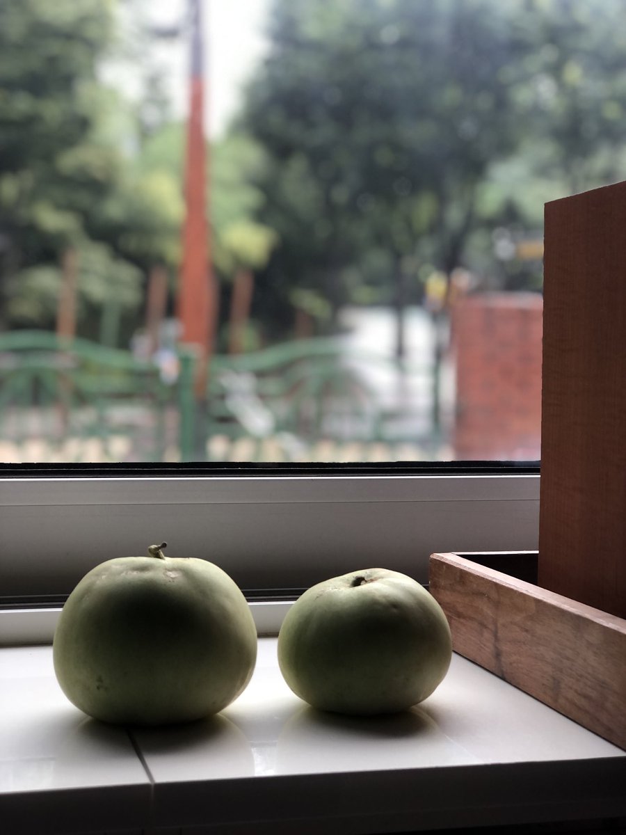 studio_ah's tweet photo. 흐렸다 비왔다 맑았다를 수십번, 또다시 흐려지더니 내리는 비. 종일 창밖을 지켜보고 있노라니 참으로 이상한 날씨다. https://t.co/gj9VlBknDq