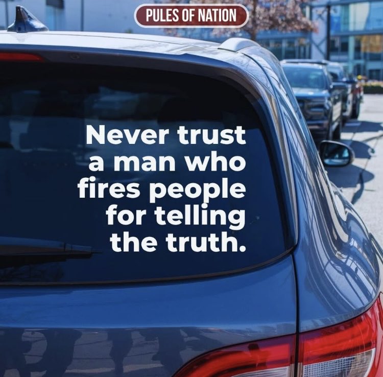 Suzie rizzio tweet media