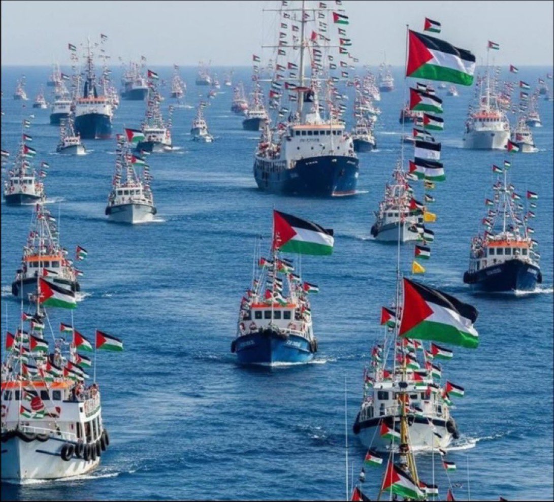 HalilDuman_58's tweet photo. İnsanlığın onuru, şerefi, vicdanı, merhameti bu gemilerde yolunuz açık olsun  #SumudForGaza https://t.co/zGnmXfijxY