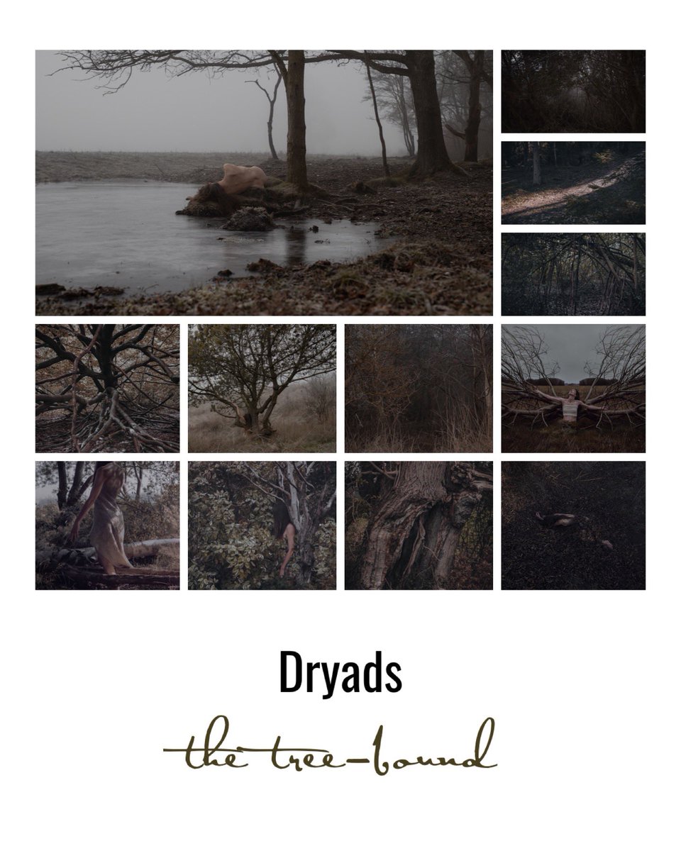 Gm with the dryads 🍂🤍