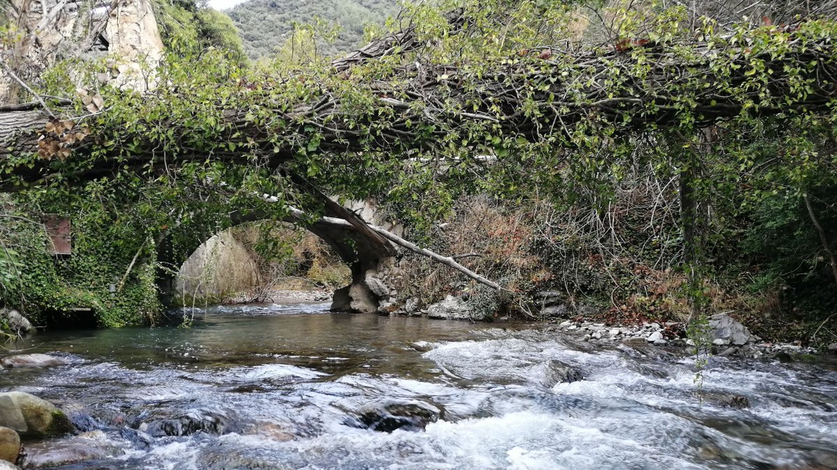 Bon dia amb el #patrimonideldia! El Pont del Molí del Puig a #Gisclareny creua el riu Bastareny. És un pont d'un soll ull, que vol dir que consta d'un únic arc per deixar passar l'aigua: patrimonicultural.diba.cat/element/pont-d… <a href="/berguedaturisme/">El Berguedà</a> <a href="/CulturaDIBA/">Cultura Diputació Barcelona</a>