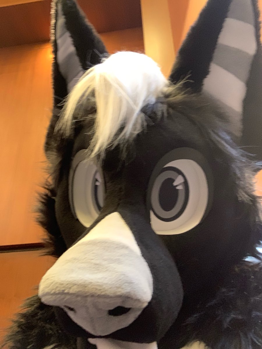 What ya sniffing like hm!? 
#megaplex #furry #fursuit #dancer