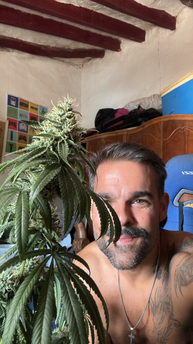 Este soy yo cosechando una planta normal y corriente 😇