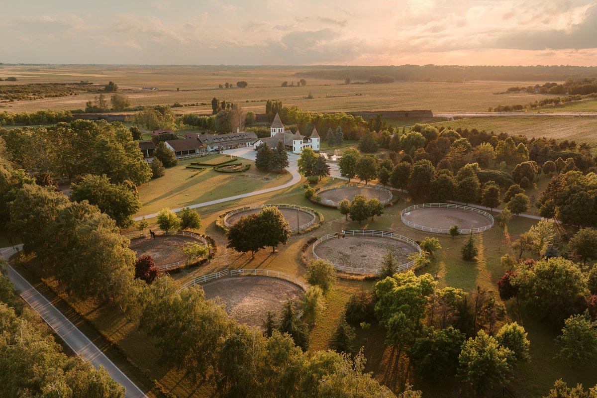 Meet noble Lipizzaners, enjoy a carriage ride through gentle landscapes, or simply find peace in the serene atmosphere of the stud farm. 

Experience the magic of horses and the charm of Vojvodina at the Kelebija Stud Farm near Subotica! 

📷 @hiishiiphoto