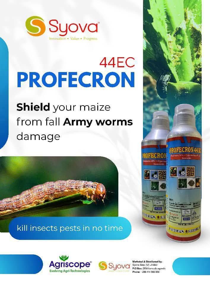 a_syova's tweet photo. π Fall Armyworm can cause up to 80% yield loss if left unchecked!
π‘οΈ Fight back with Profecron 44EC β dual-action power from Cypermethrin + Profenofos.
π½ Protect your maize, protect your profits!
π 0778884885 | 0700399409
#SyovaSeedUG #FAW #Profecron44EC #MaizeProtection https://t.co/Ycd2uDyQww