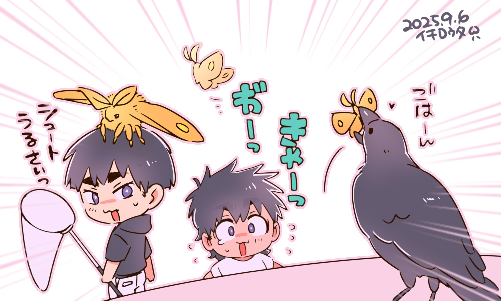 クスサン（蛾）大好きな俺とカラス（鳥）大好きな俺との脳内戦争…！
生物の尊さ…！