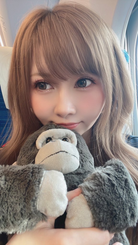 お仕事終わらせて大阪へ🚄 ナナちゃんが付いて行きたそうだった🐈 明日