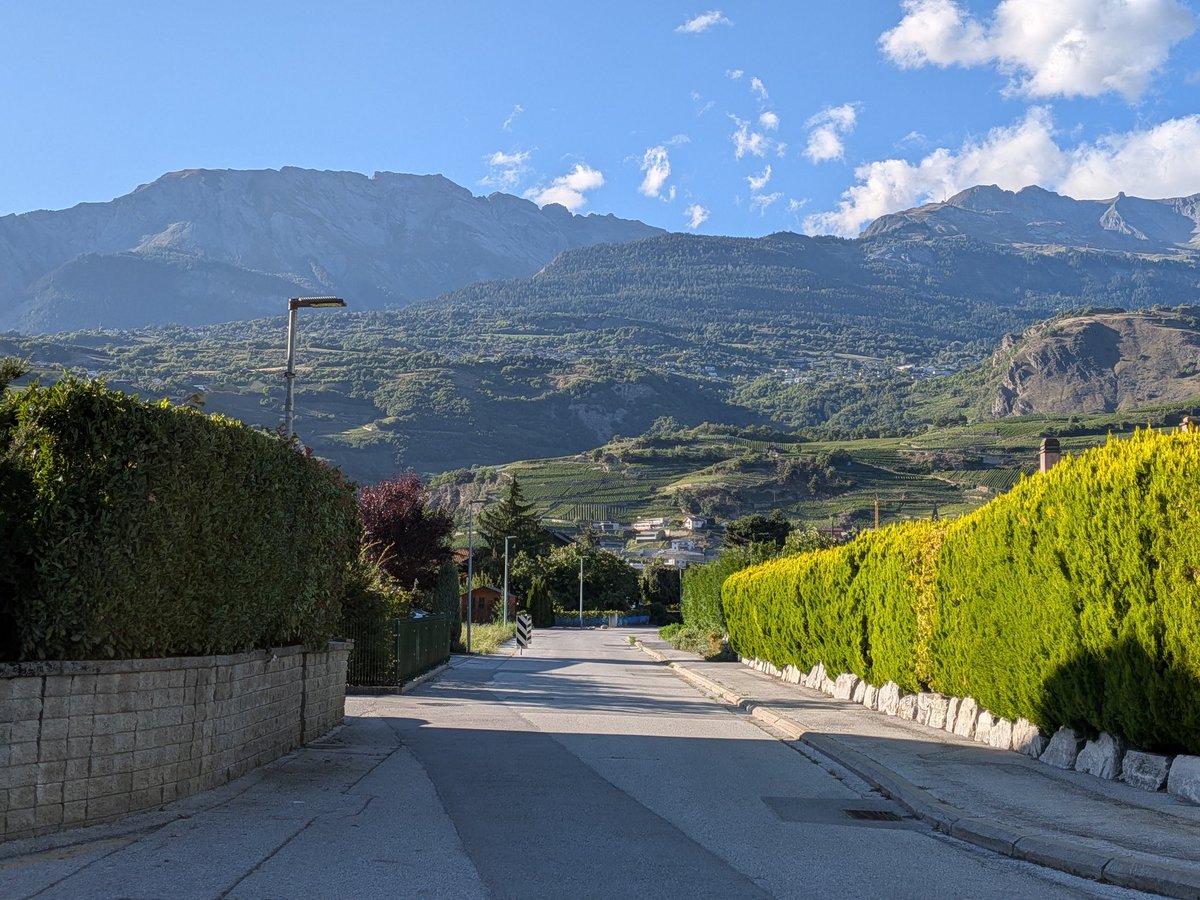 enscribe tweet media