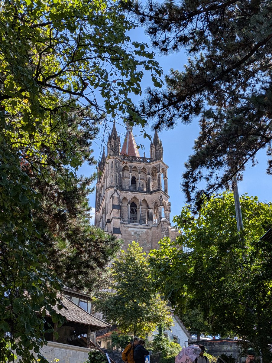 enscribe tweet media