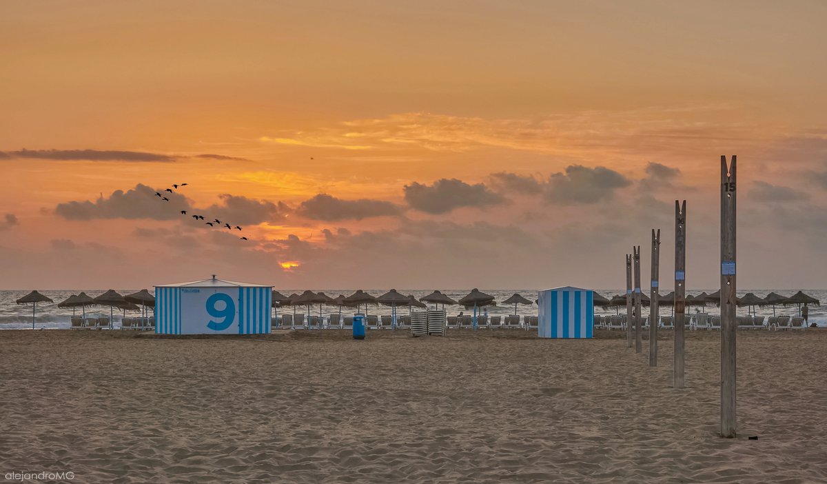 Álex Muñoz 📷 ☀🦇 💯 🧡 (@alexmuozgarc) on Twitter photo #BonDia 👋
#BuenosDías #tímido #amanecer en la #playa de el #Cabanyal #València
<a href="/MNievesSanchez1/">MNieves Sanchez 🌼⛅🌞🌛🌈📸</a> <a href="/rasalvi49/">Ramon Salvi</a> <a href="/xusvalencia/">Jesús🦇Martínez📸</a> <a href="/minervagra/">Minerva GG</a> <a href="/Pauquechu/">Quechu</a> <a href="/anamaria190977/">Ana María Herrero</a> <a href="/willgualas/">🇪🇸GUI🇪🇸</a> <a href="/sibilafc/">Silvia Ferrer</a> <a href="/meteocastuera/">Álvaro Hurtado ™ ⛈️ 🌬☔️⚡️📸📹</a> <a href="/RAM_meteo/">RAM: Revista del Aficionado a la Meteorología</a> <a href="/ame_asociacion/">AME Asociación</a> <a href="/MeteoSE/">AMETSE</a> <a href="/ecazatormentas/">Cazatormentas</a> #BonDia 👋
#BuenosDías #tímido #amanecer en la #playa de el #Cabanyal #València
<a href="/MNievesSanchez1/">MNieves Sanchez 🌼⛅🌞🌛🌈📸</a> <a href="/rasalvi49/">Ramon Salvi</a> <a href="/xusvalencia/">Jesús🦇Martínez📸</a> <a href="/minervagra/">Minerva GG</a> <a href="/Pauquechu/">Quechu</a> <a href="/anamaria190977/">Ana María Herrero</a> <a href="/willgualas/">🇪🇸GUI🇪🇸</a> <a href="/sibilafc/">Silvia Ferrer</a> <a href="/meteocastuera/">Álvaro Hurtado ™ ⛈️ 🌬☔️⚡️📸📹</a> <a href="/RAM_meteo/">RAM: Revista del Aficionado a la Meteorología</a> <a href="/ame_asociacion/">AME Asociación</a> <a href="/MeteoSE/">AMETSE</a> <a href="/ecazatormentas/">Cazatormentas</a>