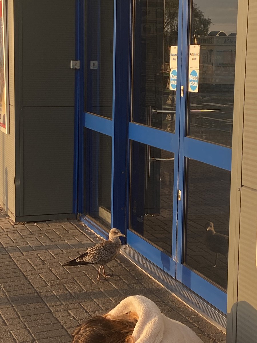 Blaine 🥰 tweet media