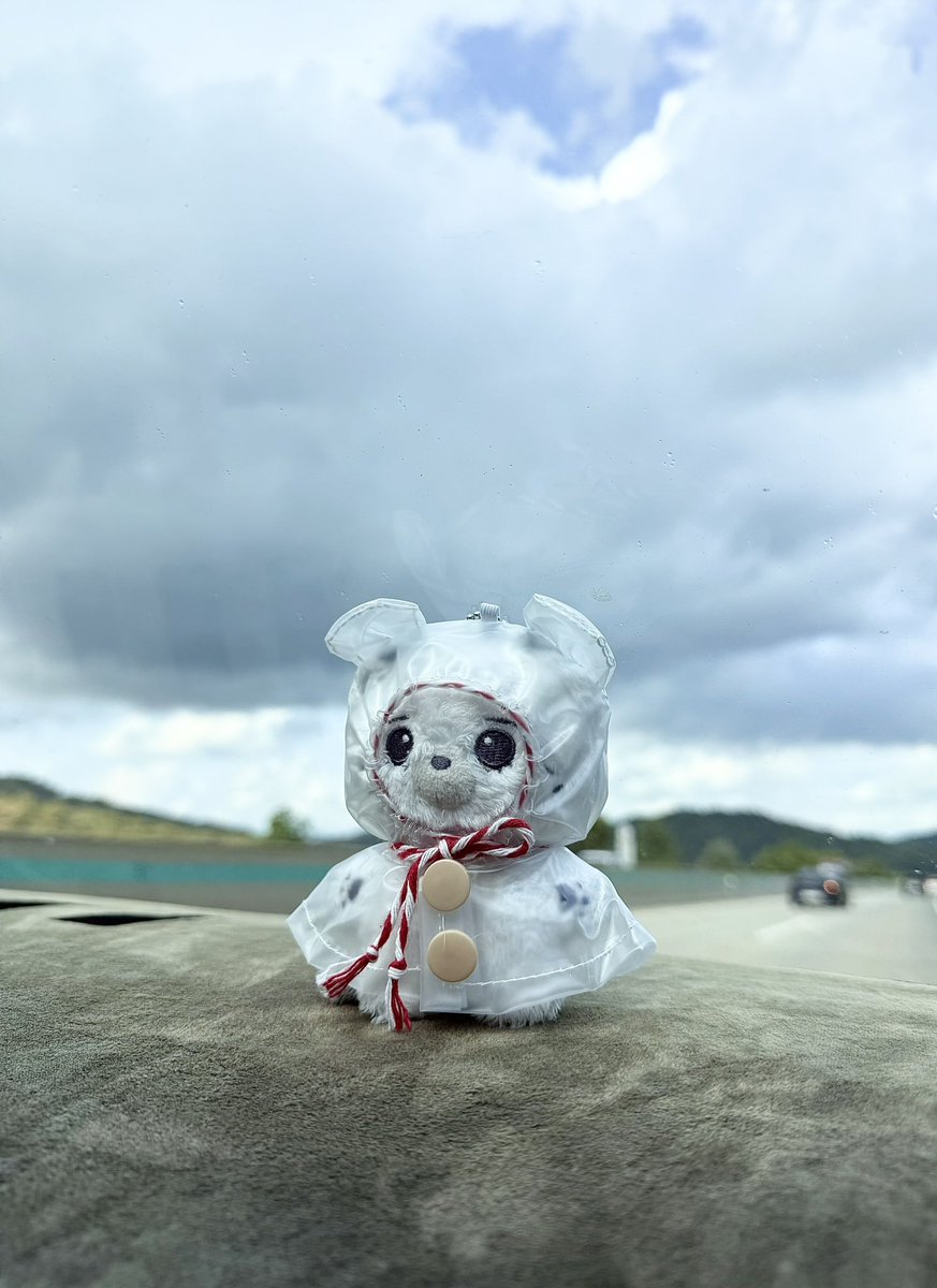 비가 오면 비를 맞아요🌧️

알리에서 산 우비 졸귀🥹