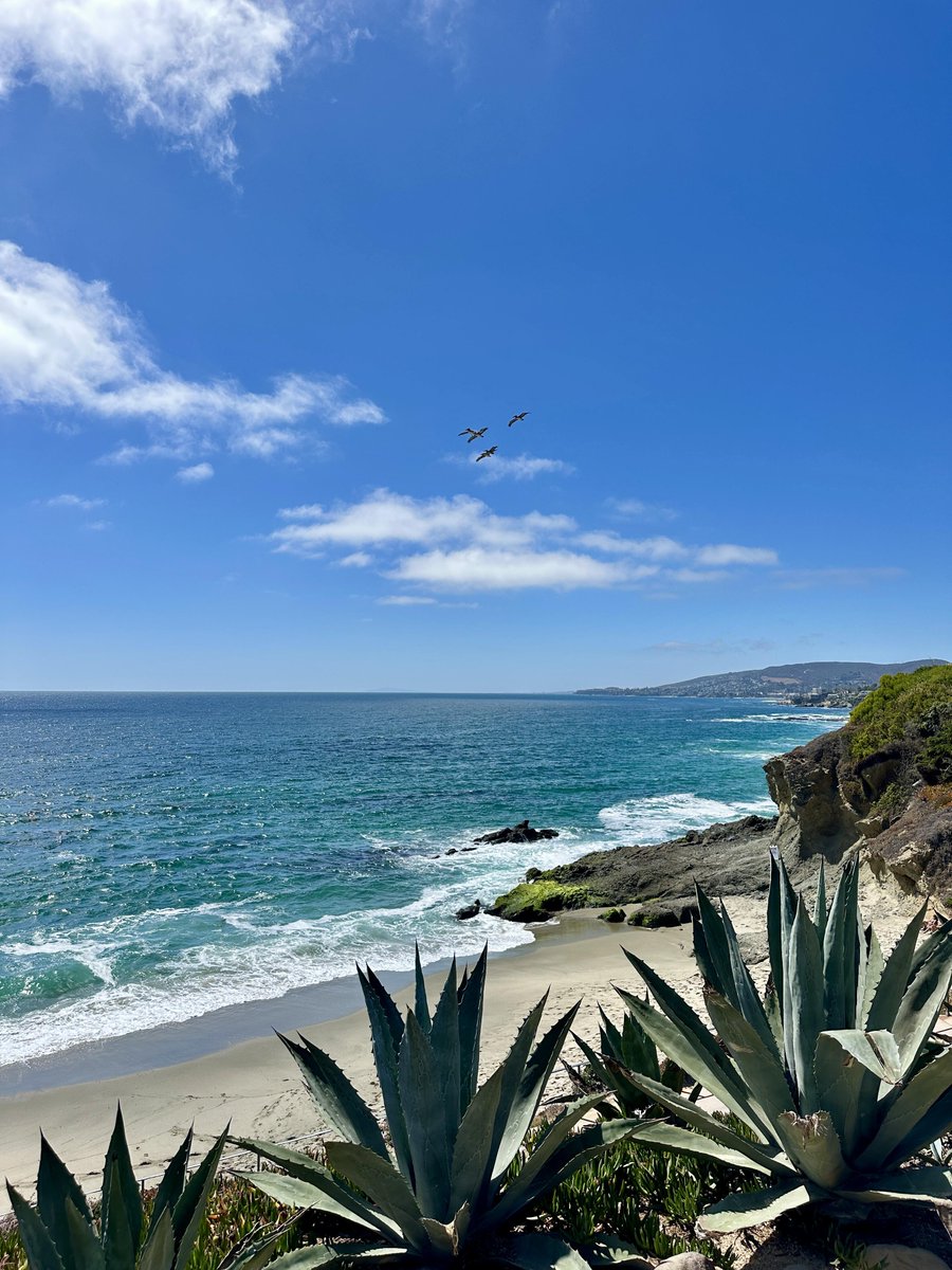 Dwoqi8889's tweet image. What ​kind ᱸof  destination  is ᠎worthy  of  all  the  hardships along ‍the way?