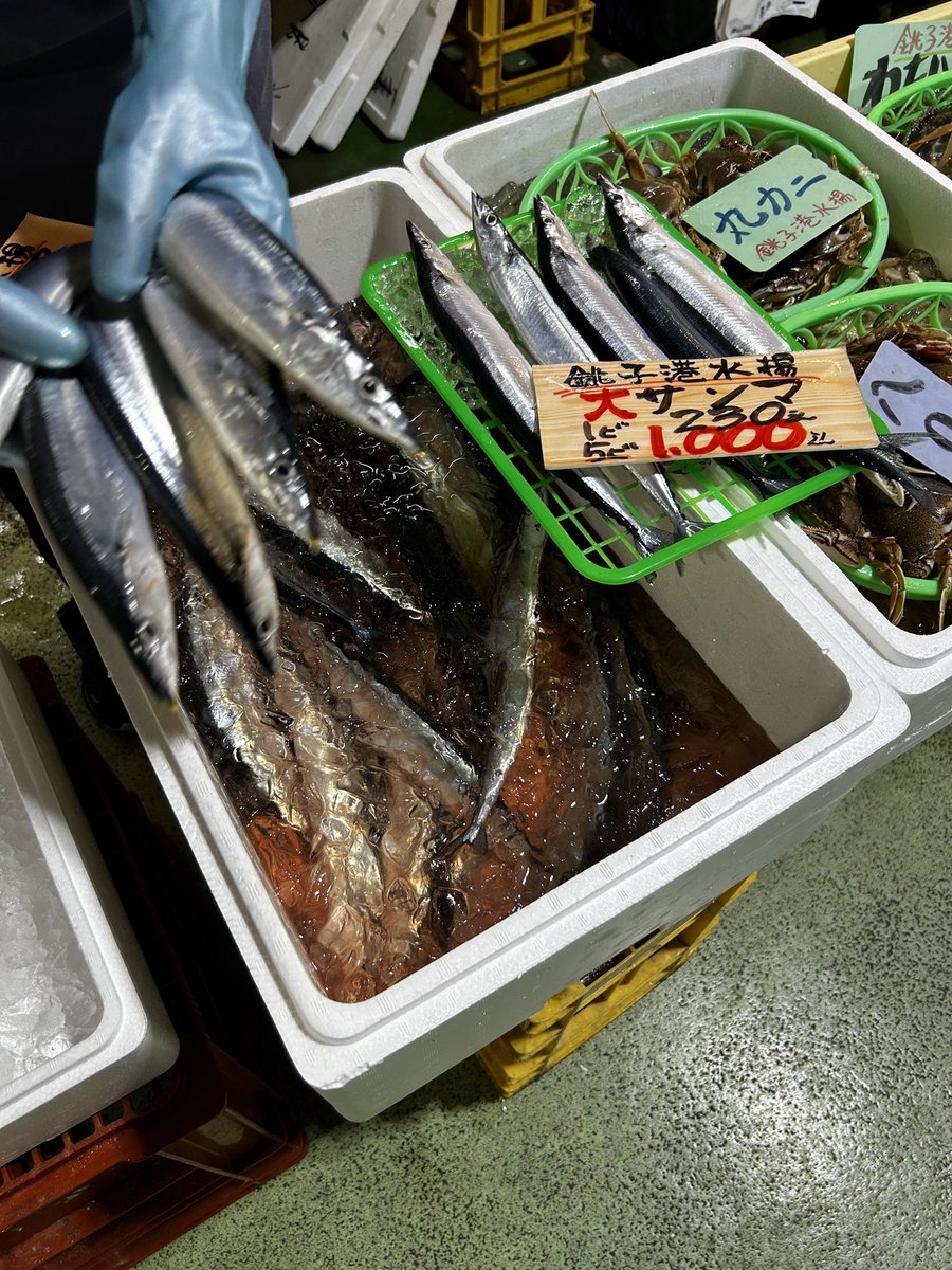 10尾2000円
箱代梱包込み