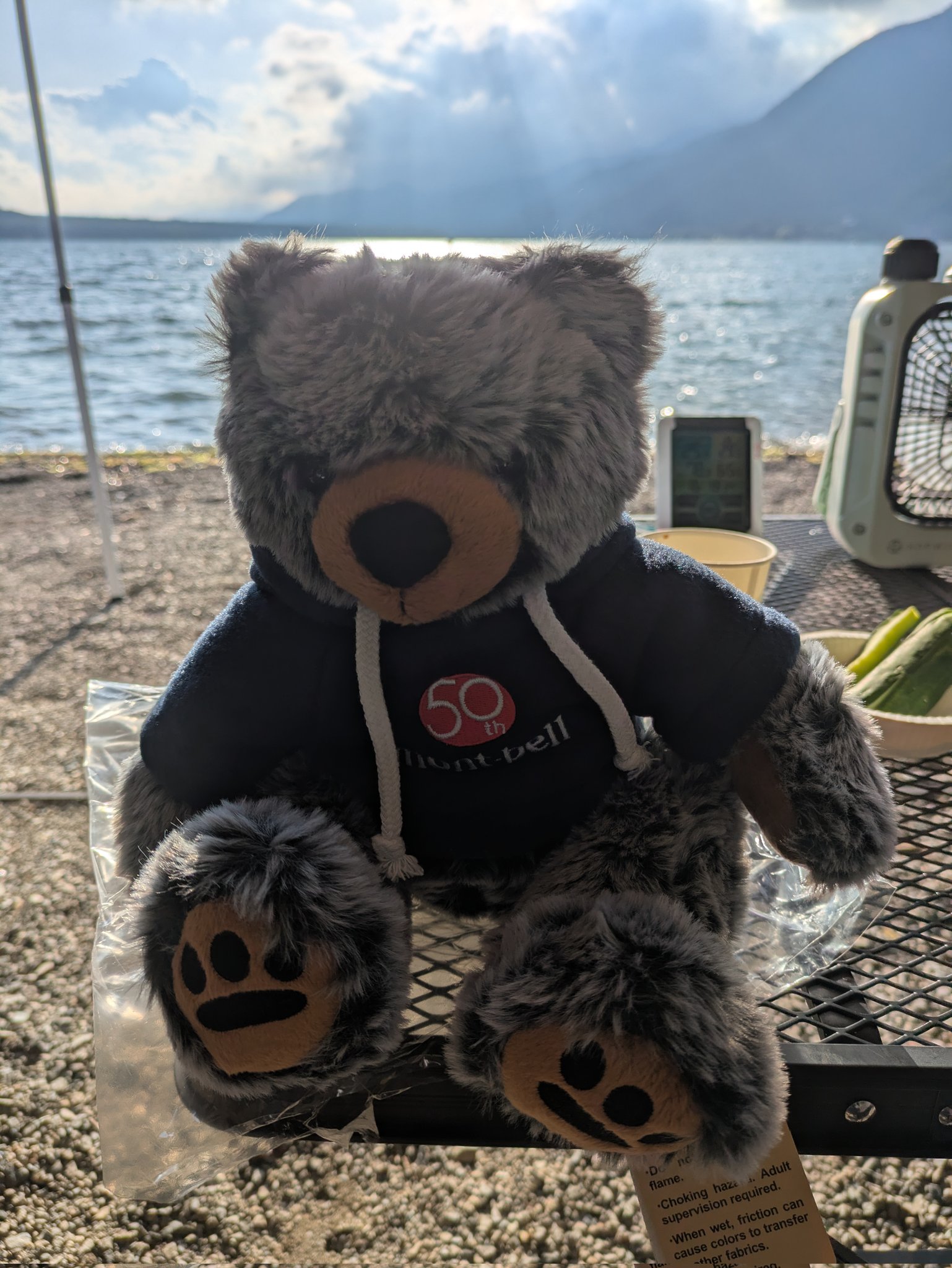 アニマルアングラーズ (@animal_anglers) / X