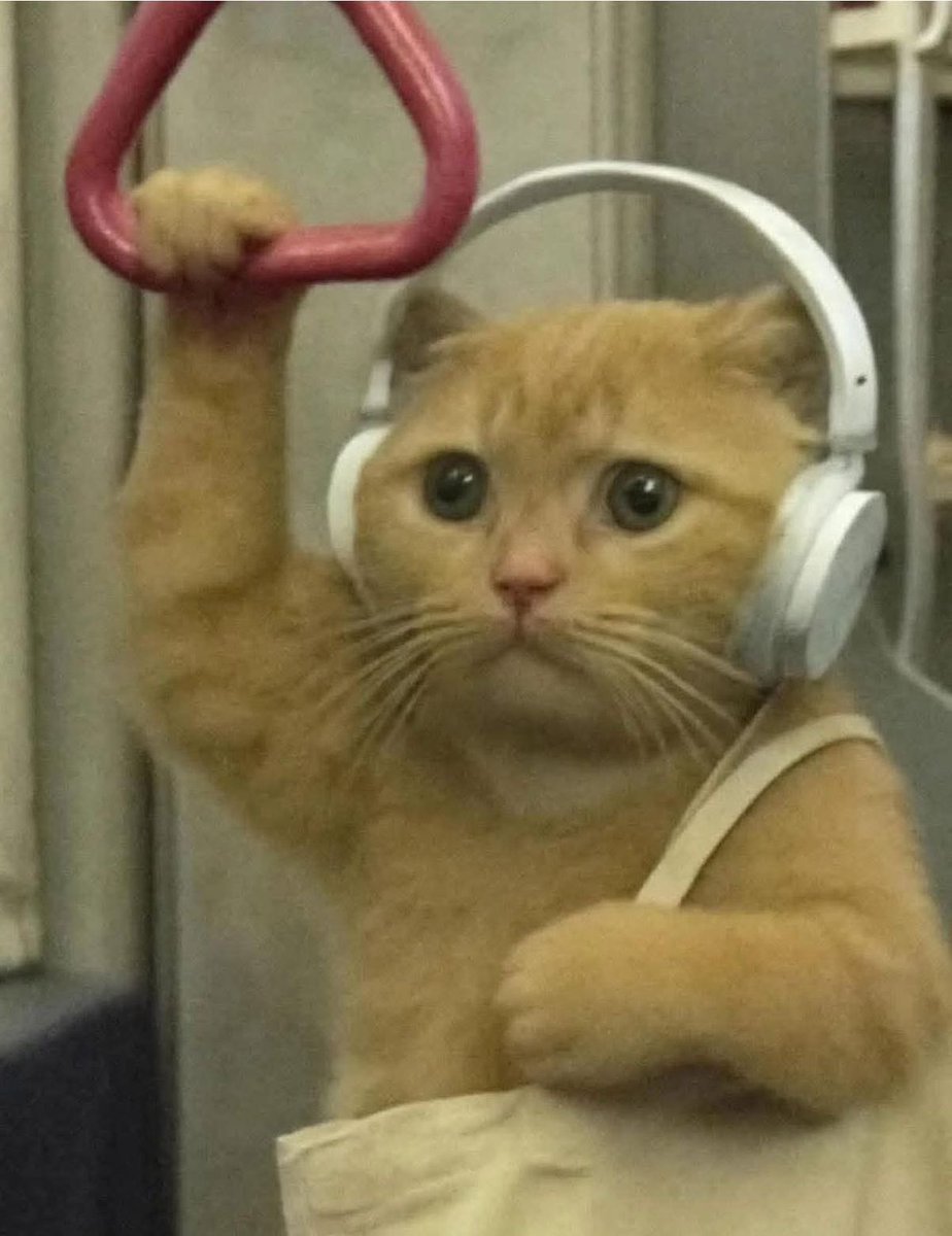 Kendini müziğe kaptırırken ineceğin durağı geçtiğinde oluşan his.