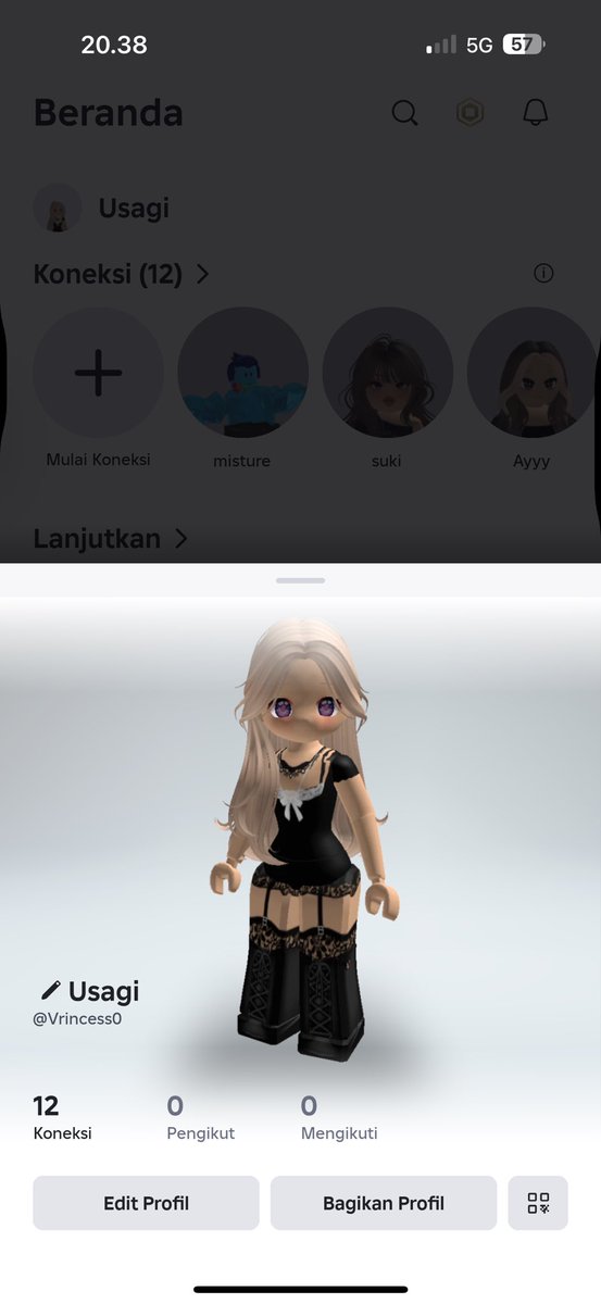 P roblox 🤭